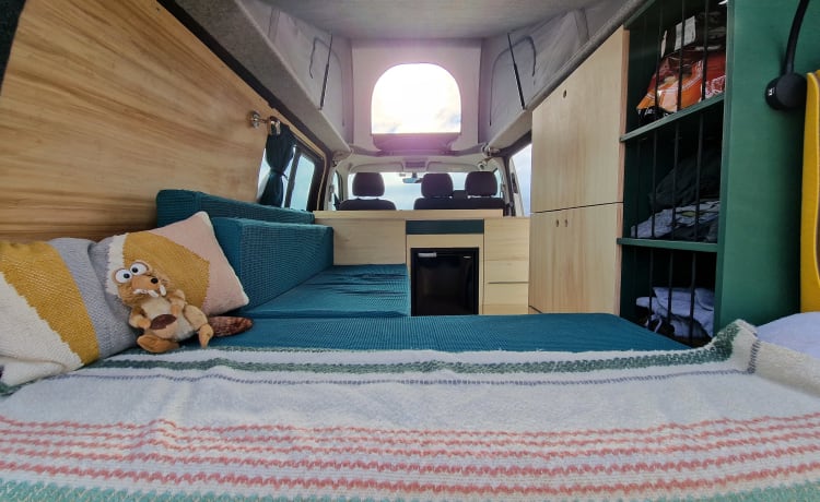 Louise – Magnificent T6 fitted out in wood