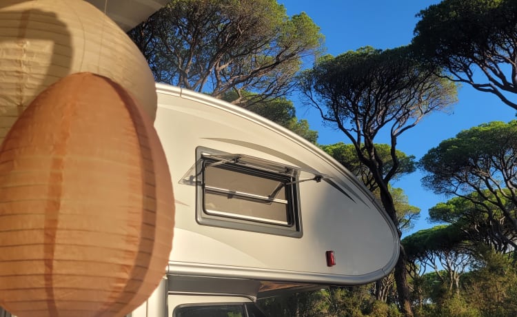Pluk  – Merveilleuse fin d'été !! Camping-car de luxe pour 6 personnes !