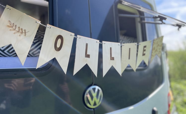 Ollie – 2er Volkswagen Bus aus dem Jahr 2010