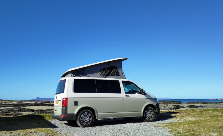 Mork! – Vivi il sogno della vita da furgone. VW T6 completamente equipaggiato