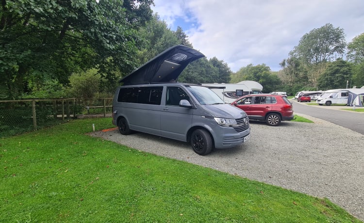 reggie – VW-transporter