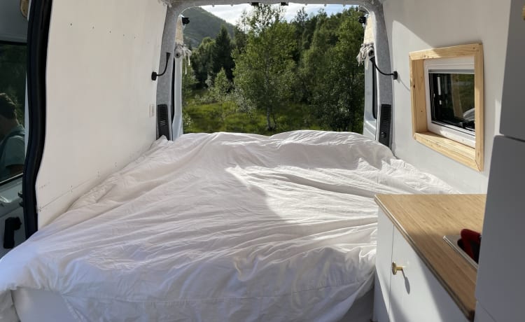 Vanneke – Veelzijdige camperbus met groot bed