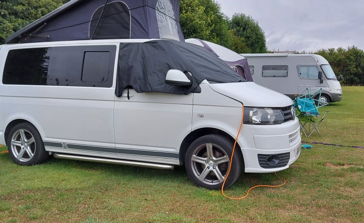 Transporter-Saurus-Rex – Transporter-Saurus-Rex... a 4 berth Volkswagen campervan from 2010