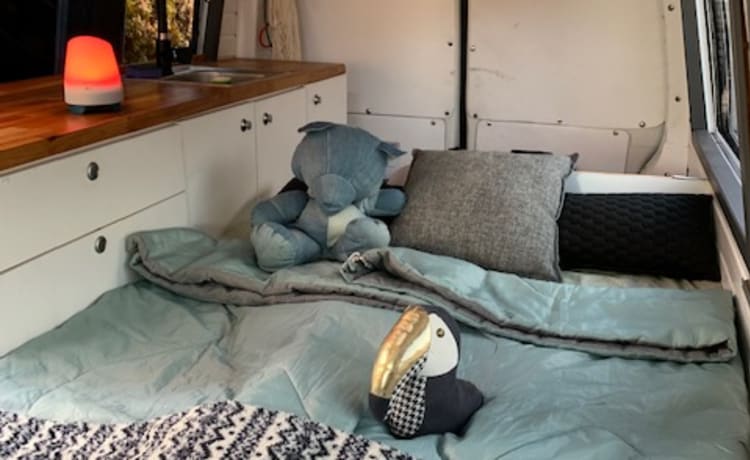 KOALA – Fitted VW T5