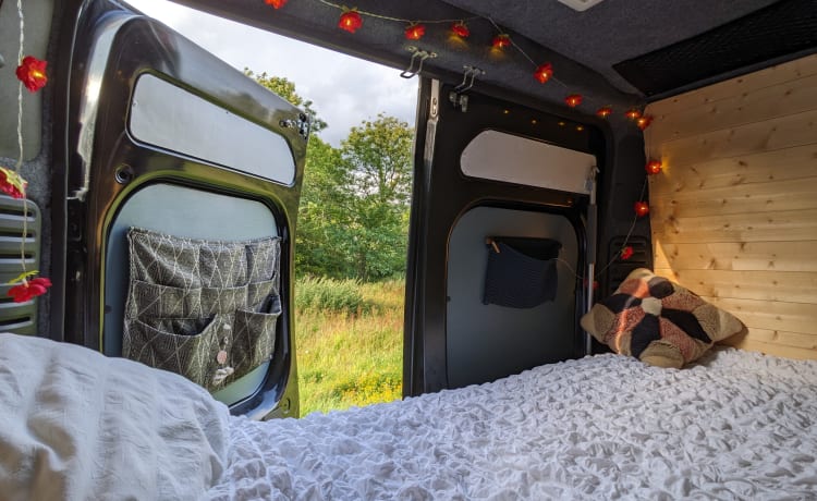 Campervan - 2, 3 or 4 berth. Can be off-grid