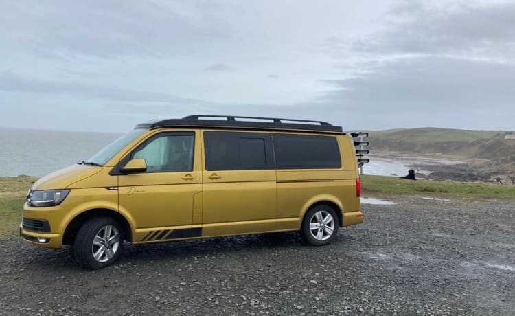 Dixie – Luxe 4-persoons Volkswagen T6 Automatic Campervan uit 2020