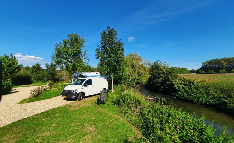 Volkswagen T6 Transporter 2p 2016