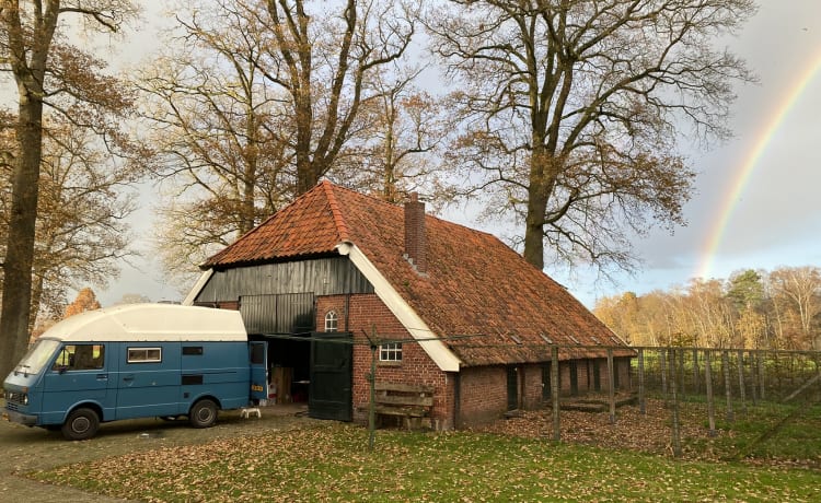 Blue Rose 🚎 – Volkswagen LT28, bus camper