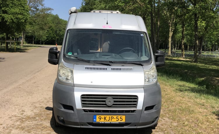 Autobus Compatto Camper Adria