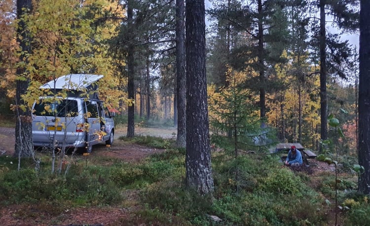 Spaceship – Schöner 4er Volkswagen T5 California Bus aus dem Jahr 2007