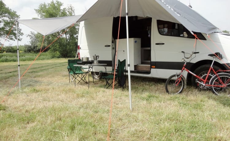 Bud – Camper für Spontane