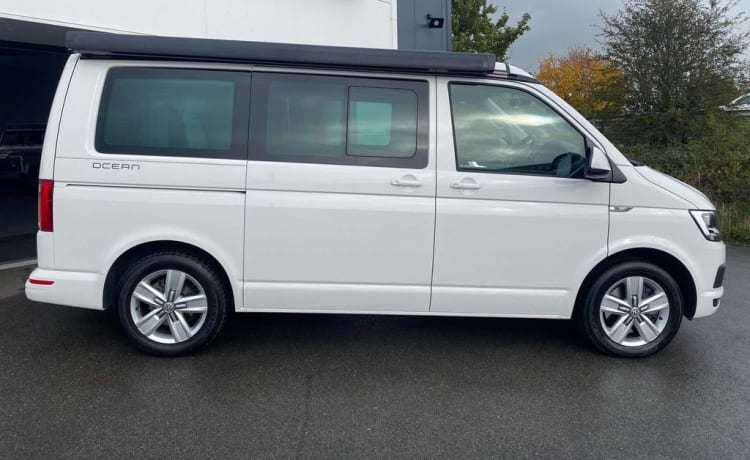 White Cali 2019 – Volkswagen Wohnmobil mit 4 Schlafplätzen aus dem Jahr 2019