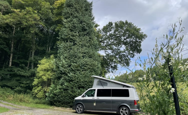 Stijlvolle VW T6 camper