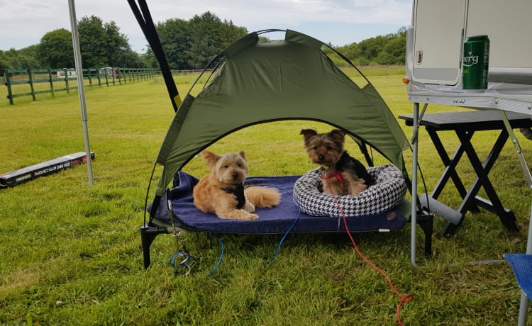 Duke – Lernen Sie Duke kennen, unser schönes Wohnmobil mit 3 Schlafplätzen.