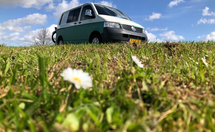 Erlebe Abenteuer mit Jip! 2p VW Wohnmobilbus