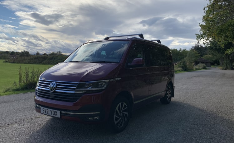 Strawberry – Neuer VW California Ocean T6.1 DSG 2.0 TDI Automatik mit Fahrassistent