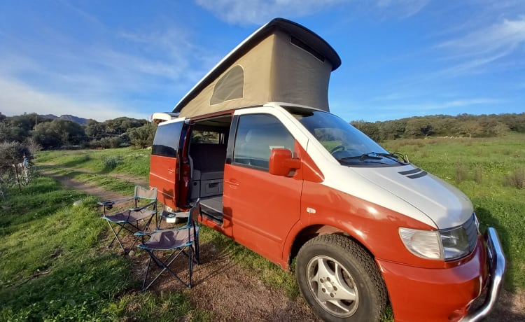 VAN GOGH – MERCEDES MARCO POLO - VANTASTIK RENTAL CAMPER