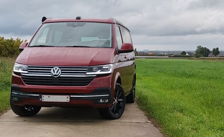 Dan The Van – Volkswagen 2023 California Ocean 150pk Diesel DSG Automaat 