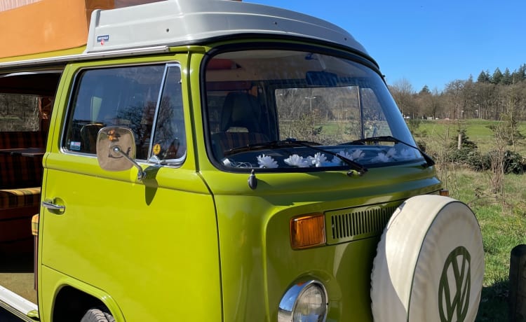 Putu – Volkswagen T2 von 1977, perfekter Zustand