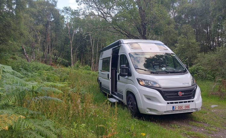 Campervan Bürstner Campeo 600