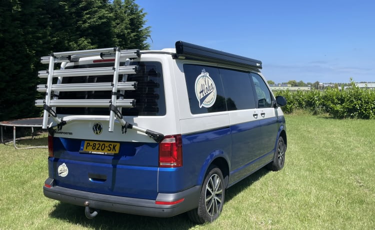 VW T6 Automaat – Aloha Beach Camper Blue 