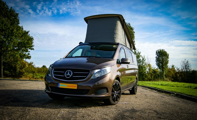 NOVACAMPER  – Ontdek het Ultieme Reisgenot met Onze Luxe Mercedes Camperbus!