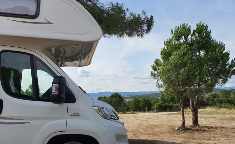 Joli camping-car familial - 6 personnes