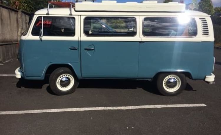 Doris  – Doris the VW Late bay classic