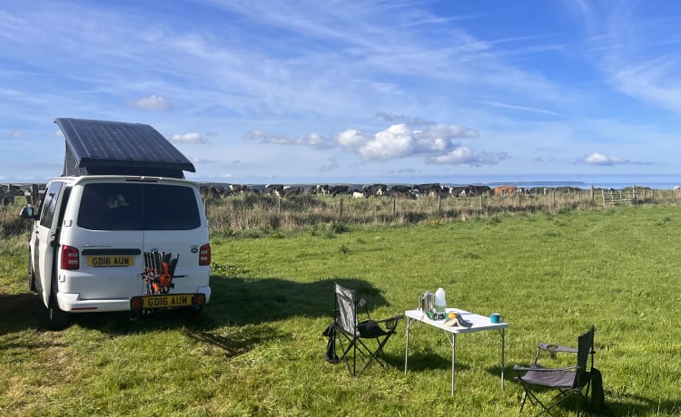 Carrie – 4-Berth Volkswagen Campervan from 2016