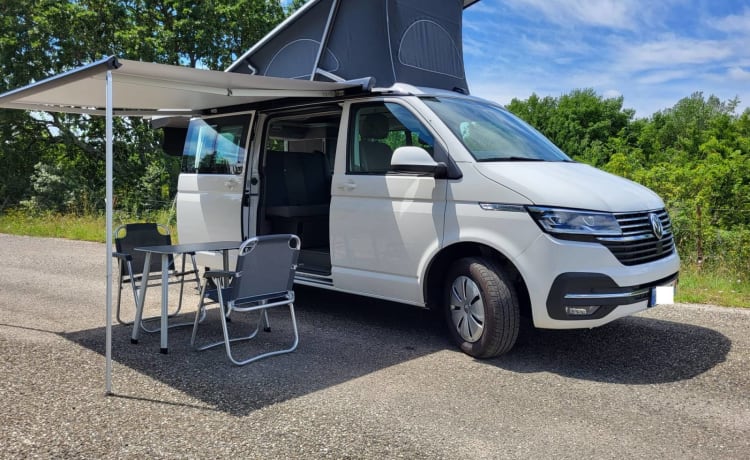 VW Transporter California Océan Boite Auto