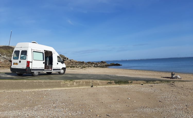 Hippiebus – Handgemaakte echt mooie hippievan met zonnepanelen