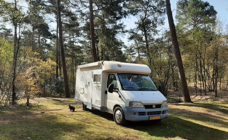 Mr. Blue  – Bürstner Merano avec climatisation et lit fixe 2005