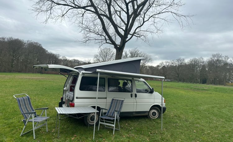 het witte schaap – 4p Volkswagen campervan uit 1997