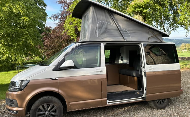 Goldie – Ontdek met Goldie - VW T6-camper met maximaal 6 slaapplaatsen