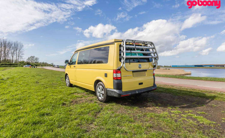 Sunny – 2er Volkswagen Bus von 2015