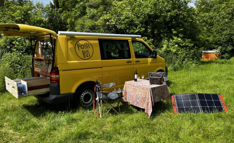 Pippin – VW T5 Postbus 