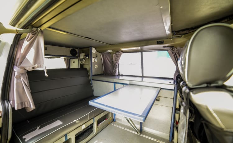 Rino il campeRino – Volkswagen T4 westfalia california