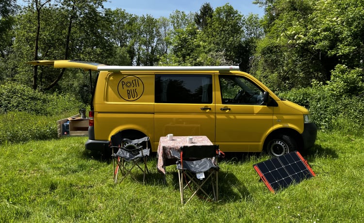 Pippin – VW T5 Postbus 