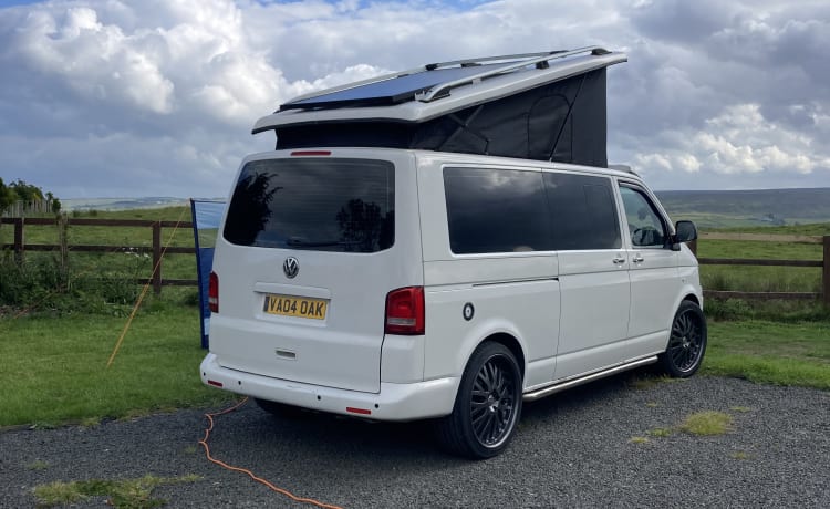 Salty sea dog  – 4 berth Volkswagen bus from 2012