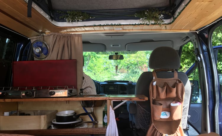 De Blauwe Rakker – Atmospheric camper van for the outdoorsman - Ford Transit