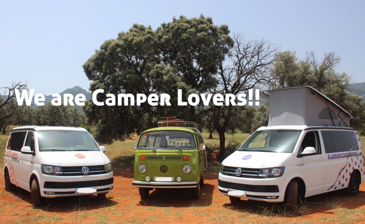 "CARMELA" VW T6 CALI BEACH CAMPER – Flamenco Campers, Camper mieten, Andalusien erkunden.