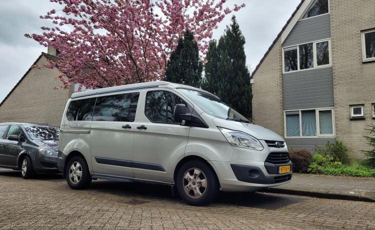 Modern compact Westfalia Ford Nugget