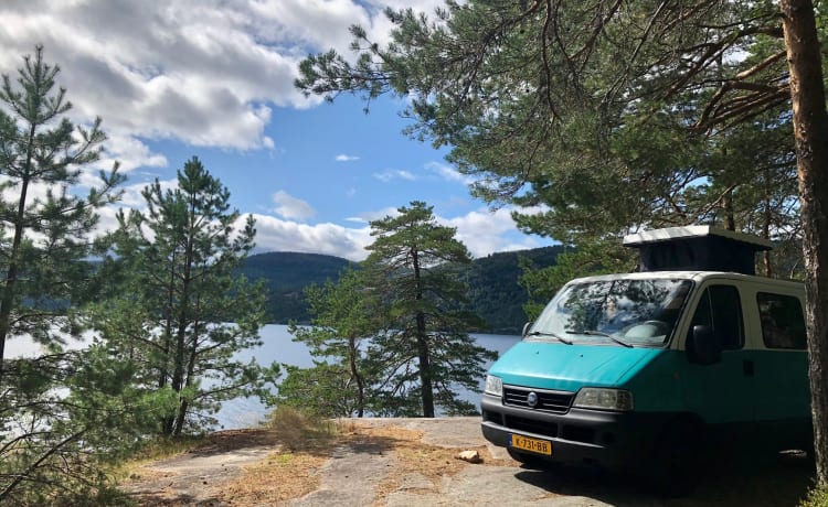 Joey – Autocar de camping unique et atmosphérique