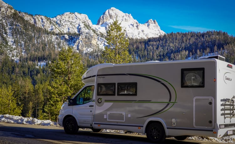 NEW2024! – New Chausson777 [WINTER/SUMMER Edition]