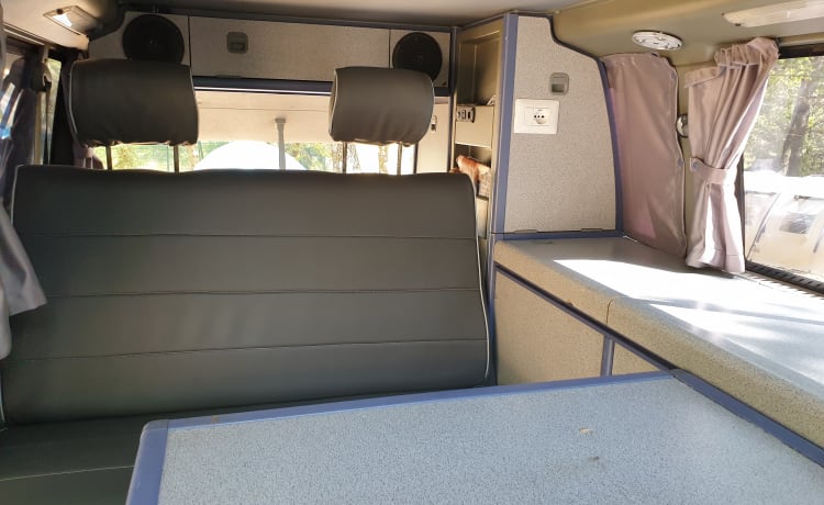 Rino il campeRino – Volkswagen T4 Westfalia Kalifornien