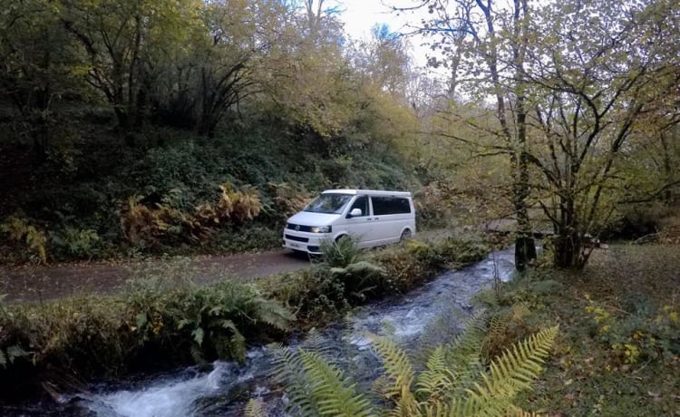 Bailey  – Noleggio camper di lusso VW