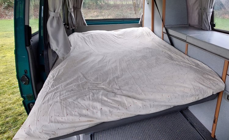 Camper Achterhoek – VW Kalifornien T4