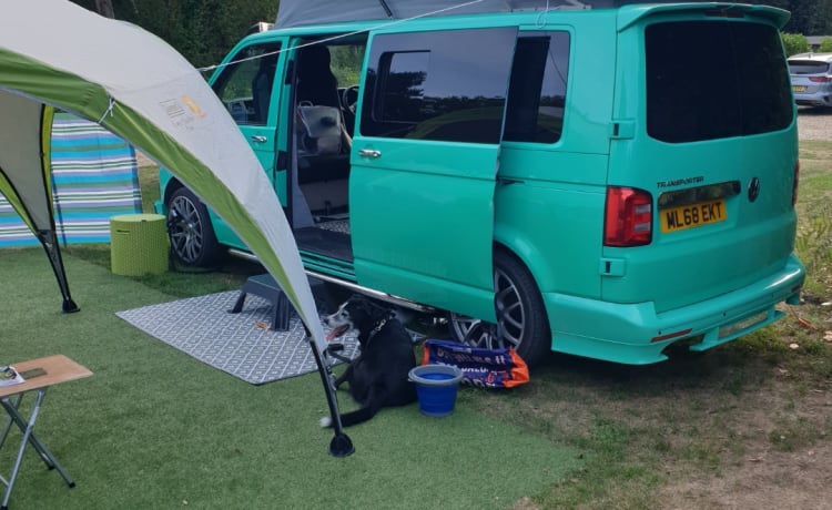 Scooby LWB – HONDENVRIENDELIJKE VW CAMPER MET ALLE EXTRA'S VOOR EEN GEWELDIGE VAKANTIE