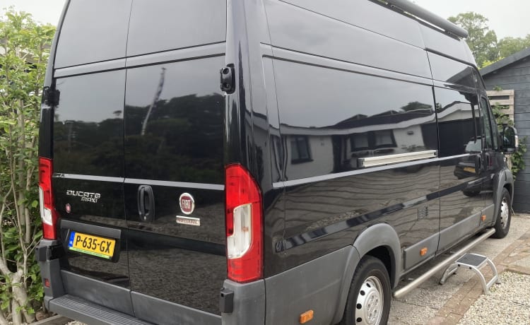 Fiat Ducato bus camper, 3 persoons. 2,10 sta hoogte !