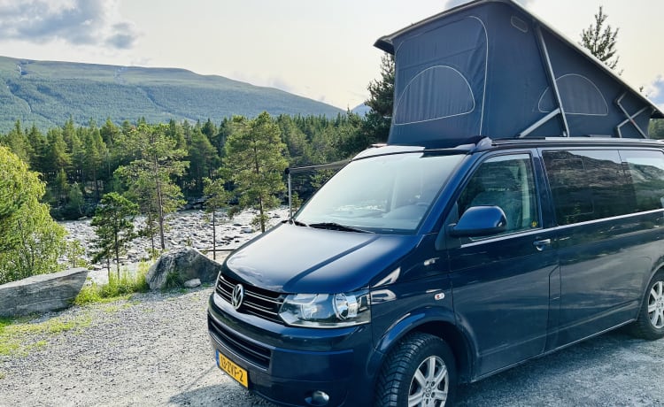 Blaue blitz – Magnifique VW California d'origine 